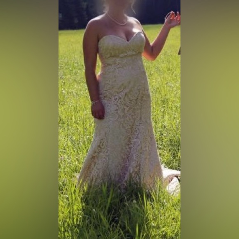 Davids Bridal Wedding Dress
